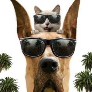 Meet your Posher, Shannon